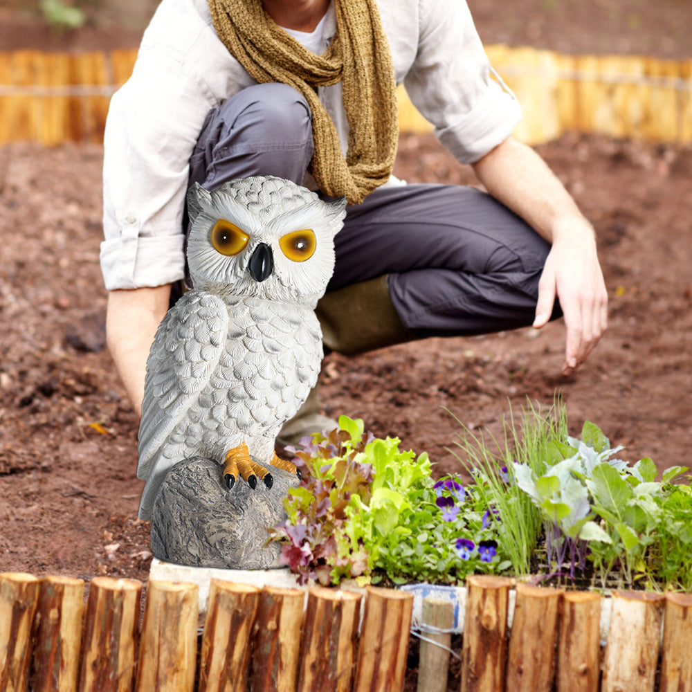 Solar-Powered Realistic Owl Repeller