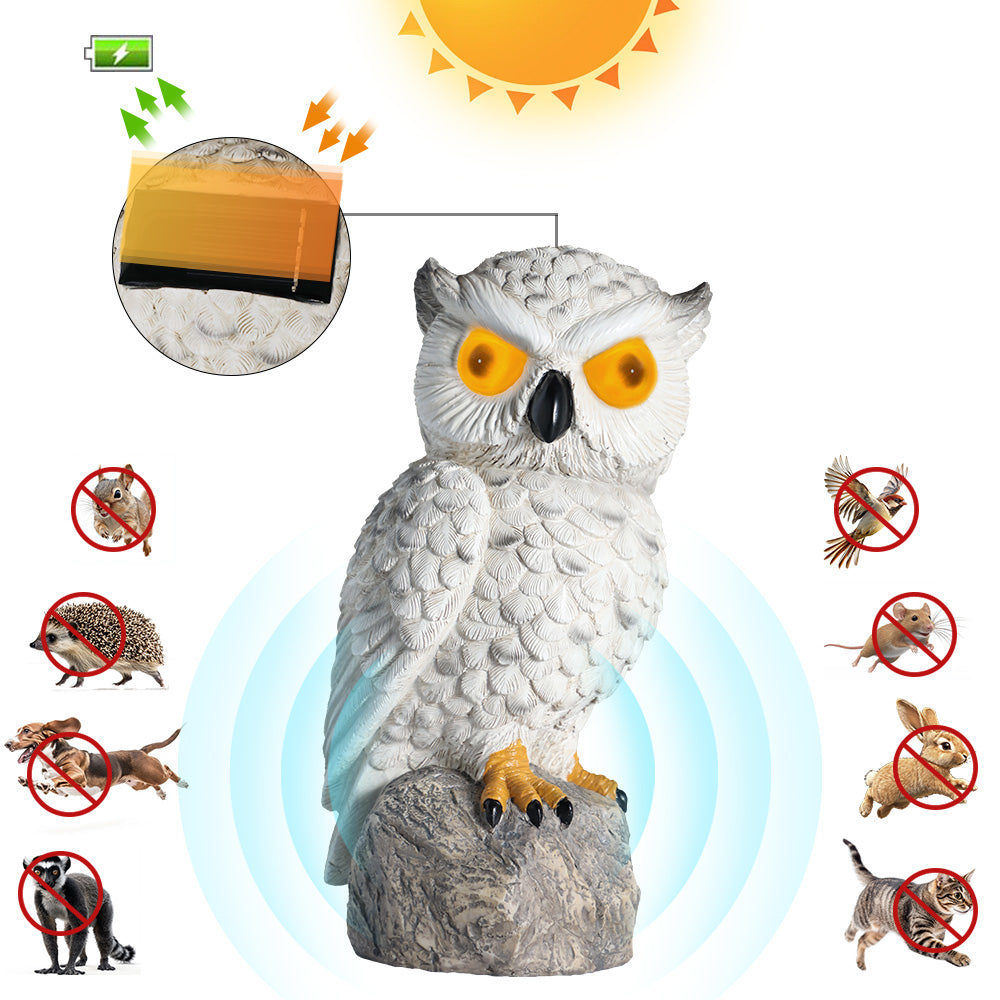 Solar-Powered Realistic Owl Repeller