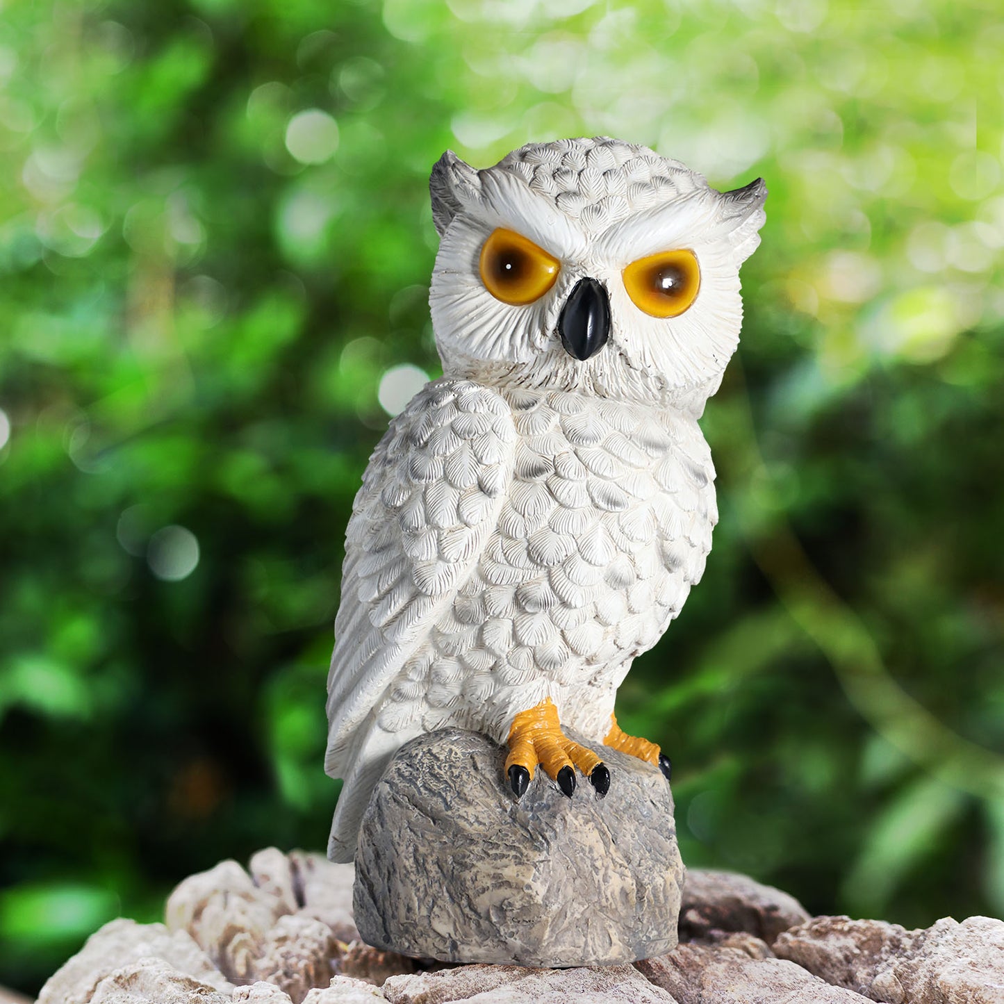 Solar-Powered Realistic Owl Repeller