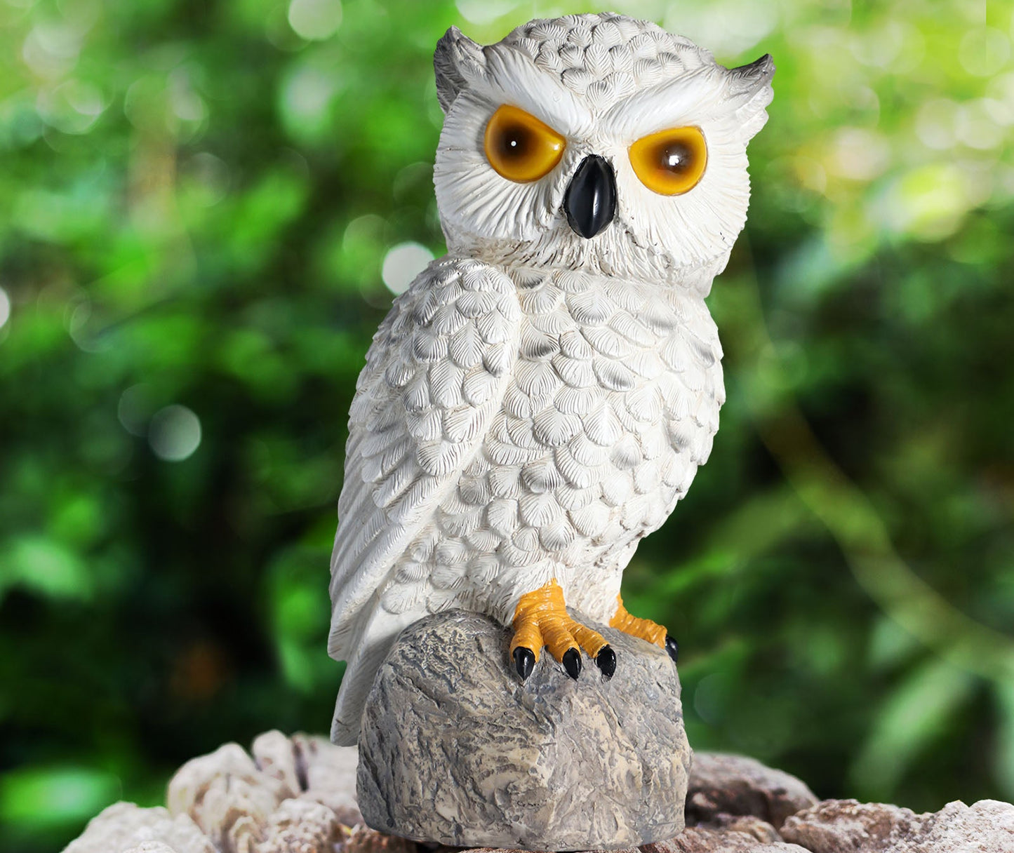 Two Solar-Powered Realistic Owl Repeller
